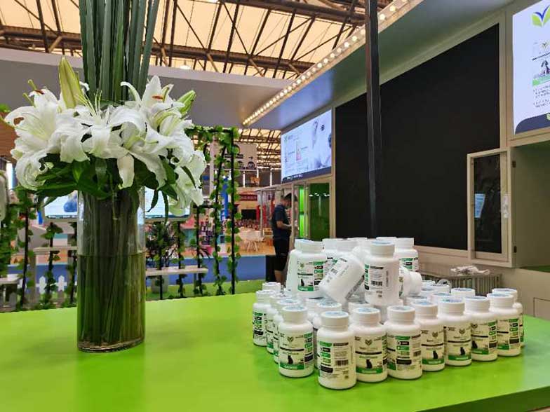 上海展臺設計搭建公司哪家好